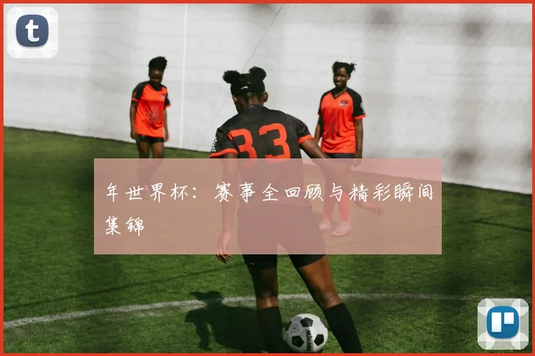 年世界杯：赛事全回顾与精彩瞬间集锦