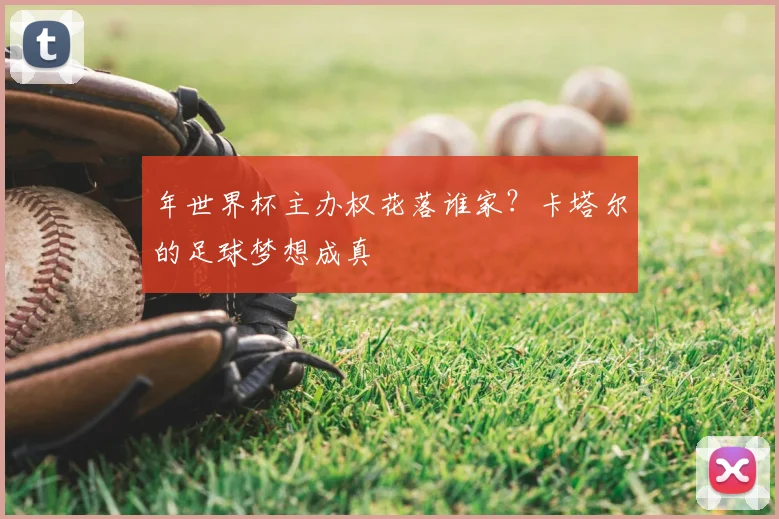 年世界杯主办权花落谁家？卡塔尔的足球梦想成真