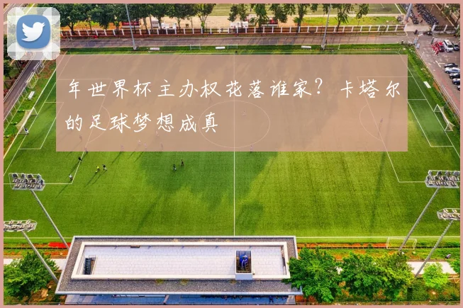 年世界杯主办权花落谁家？卡塔尔的足球梦想成真