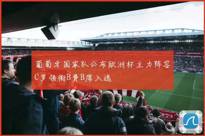 葡萄牙国家队公布欧洲杯主力阵容C罗领衔B费B席入选