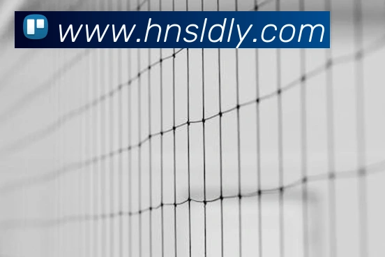 App Interface Preview